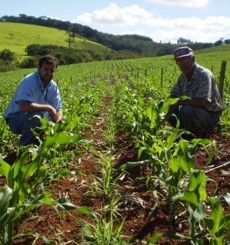 Produtor rural de Carmo do Cajuru é convocado a cadastrar cartão produtor rural2